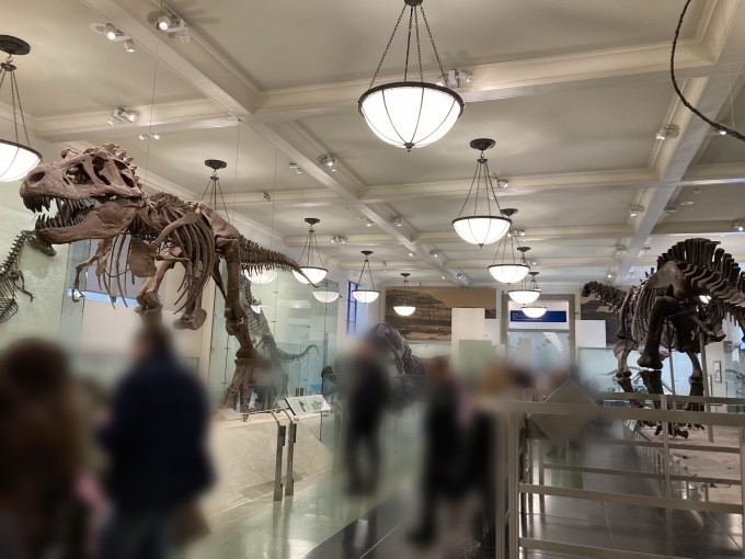 アメリカ自然史博物館4階の恐竜コーナー